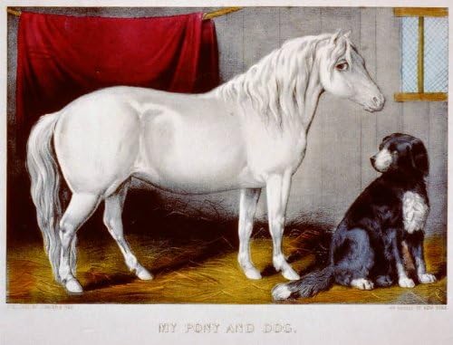 Исторически находки Снимка: Моят Пони, Куче, Кон, домашни любимци, Карриер и Ив,1856-1907