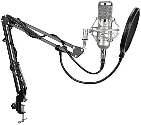 HGVVNM Без Шум Професионален 3,5-xlr Записывающий Кондензаторен микрофон за Компютър с Жива Звукова карта Караоке (Сребрист цвят)