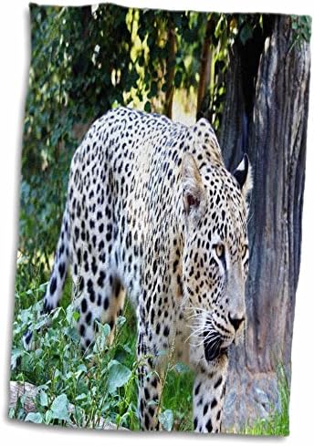 3. Животни Флорена - Леопард от Персия - Кърпи (twl-80227-1)